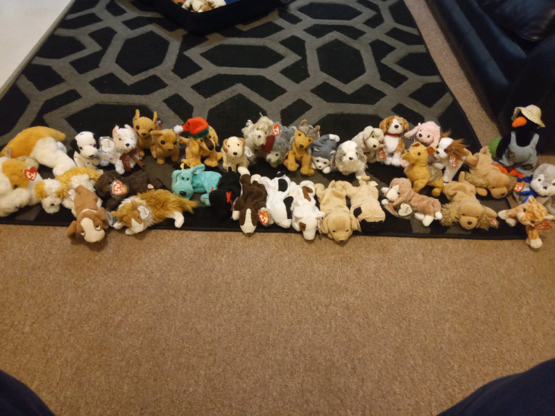 ty beanie baby puppy